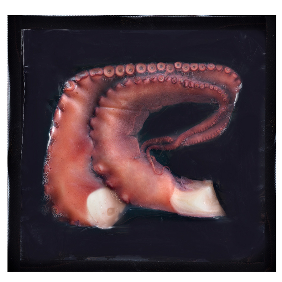 BigBlu Pata de Pulpo Cocido